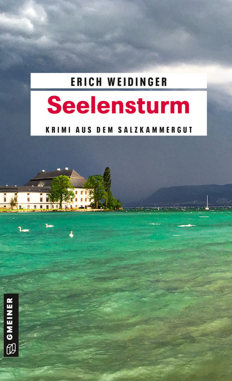 Cover image for book Seelensturm