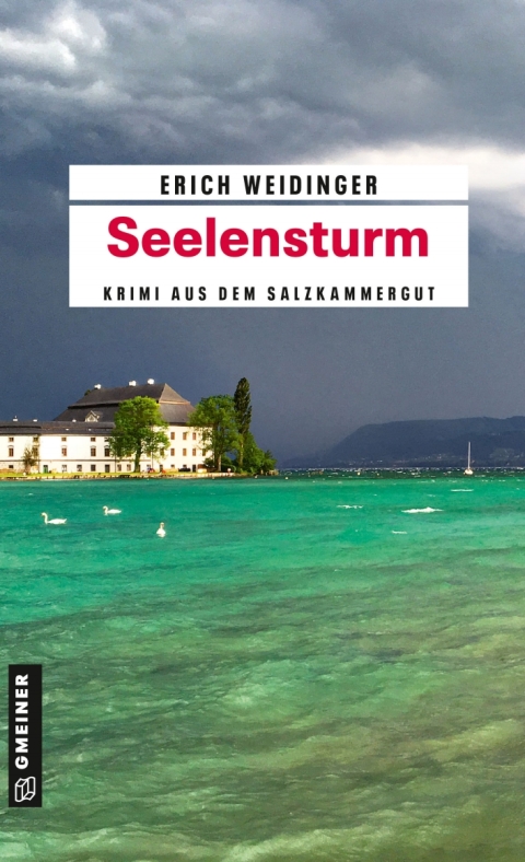 Cover image for book Seelensturm