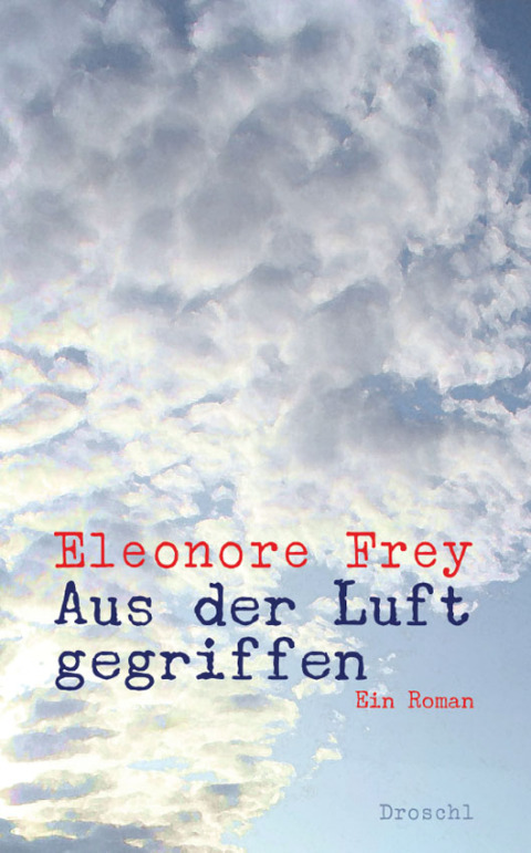 Cover image for book Aus der Luft gegriffen
