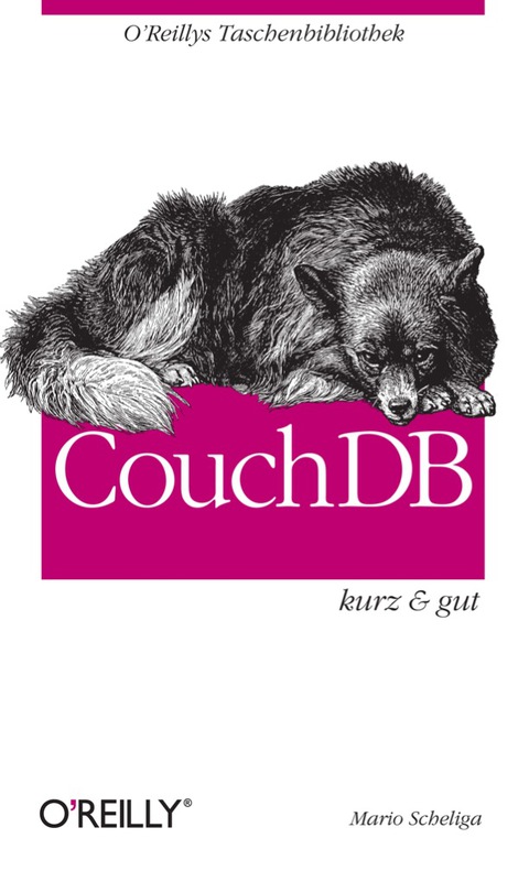 Cover image for book CouchDB kurz