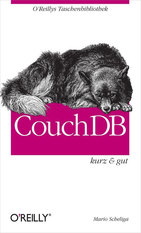 Cover image for book CouchDB kurz