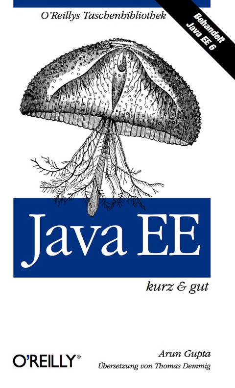 Cover image for book Java EE kurz & gut