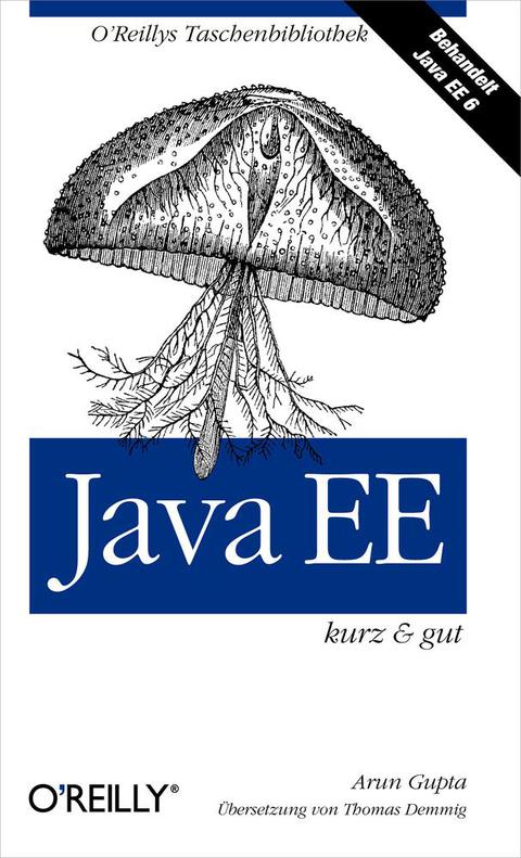 Cover image for book Java EE kurz & gut