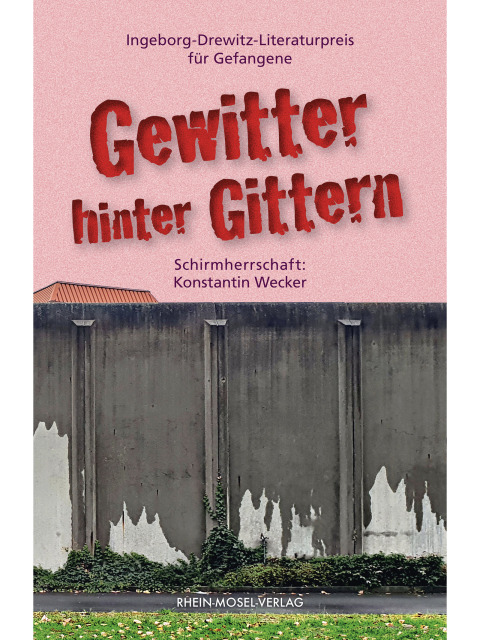 Cover image for book Gewitter hinter Gittern
