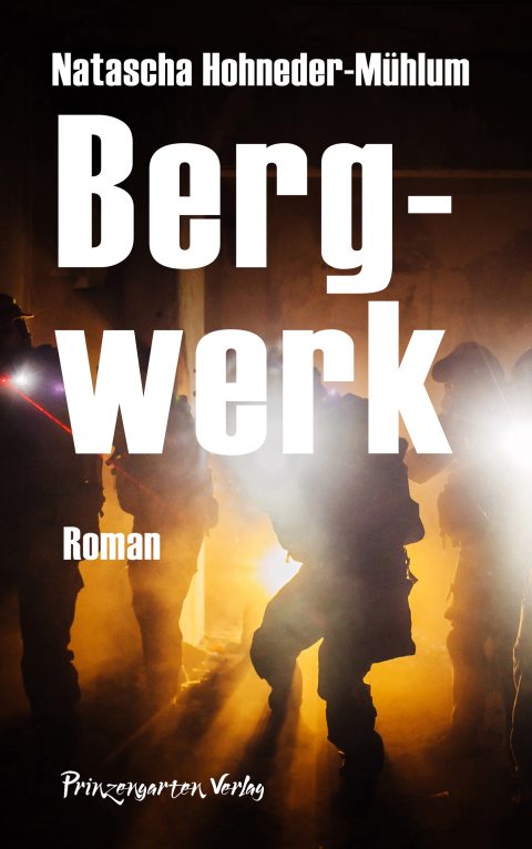 Cover image for book Bergwerk