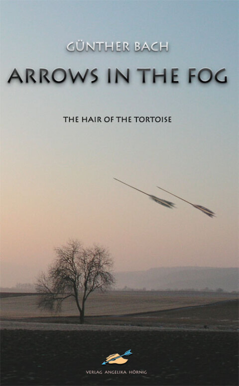 Cover image for book Arrows In The Fog