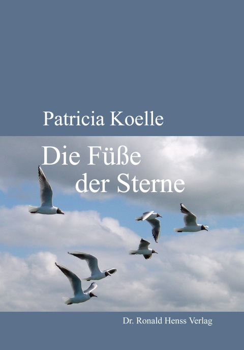Cover image for book Die Füße der Sterne