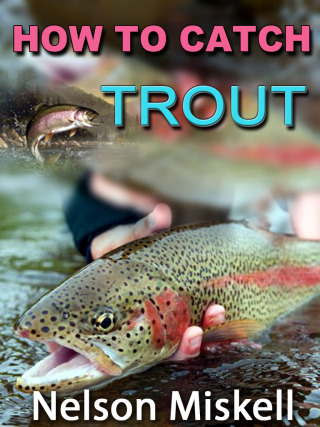 How To Catch Trout