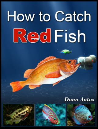 How To Catch Redfish