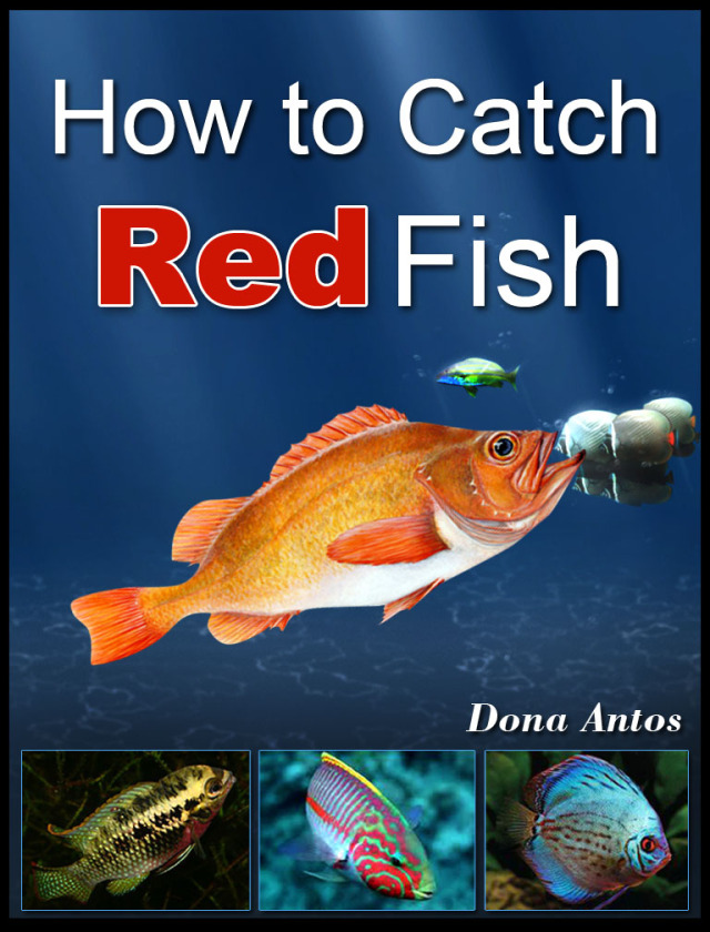 How To Catch Redfish