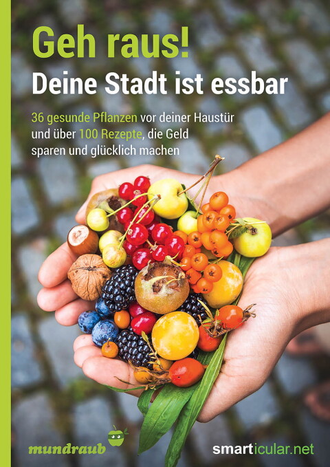Cover image for book Geh raus! Deine Stadt ist essbar