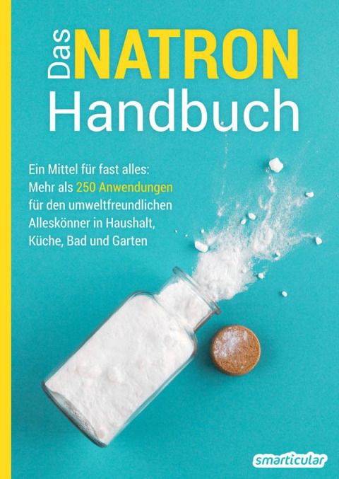 Cover image for book Das Natron-Handbuch