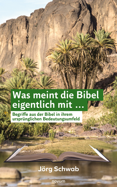 Cover image for book Was meint die Bibel eigentlich mit ...