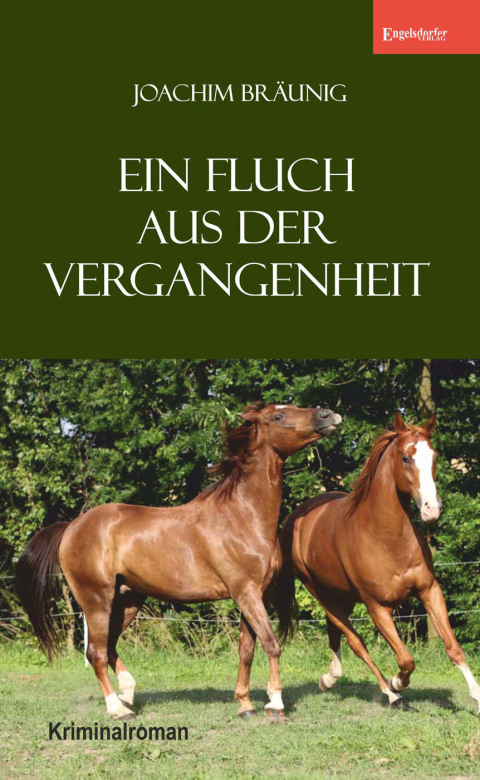 Cover image for book Ein Fluch aus der Vergangenheit