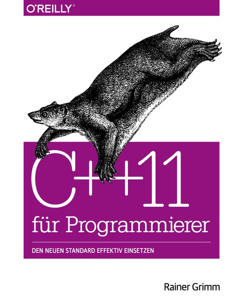 Cover image for book C++11 für Programmierer: Den neuen Standard effektiv einsetzen