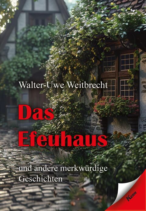 Cover image for book Das Efeuhaus
