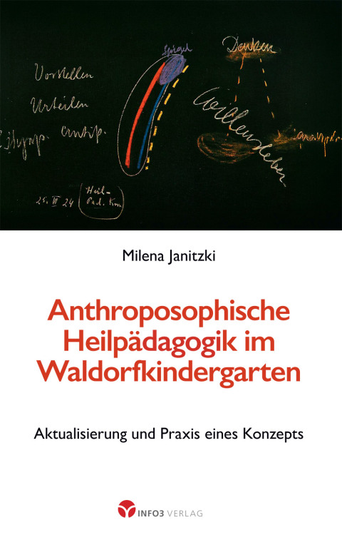 Cover image for book Anthroposophische Heilpädagogik im Waldorfkindergarten