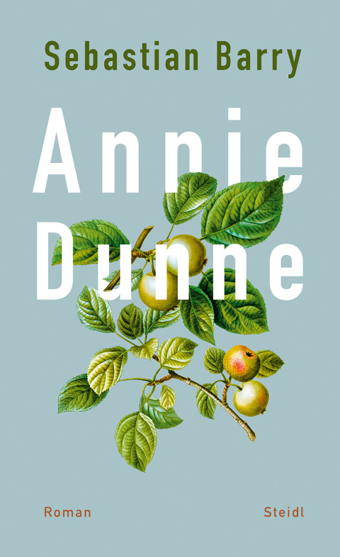 Cover image for book Annie Dunne