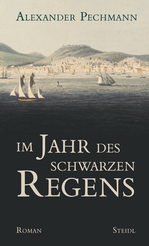 Cover image for book Im Jahr des schwarzen Regens