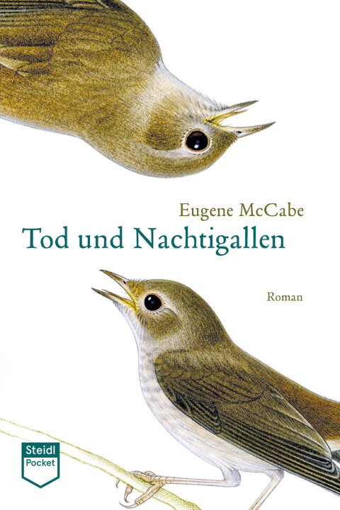 Cover image for book Tod und Nachtigallen (Steidl Pocket)