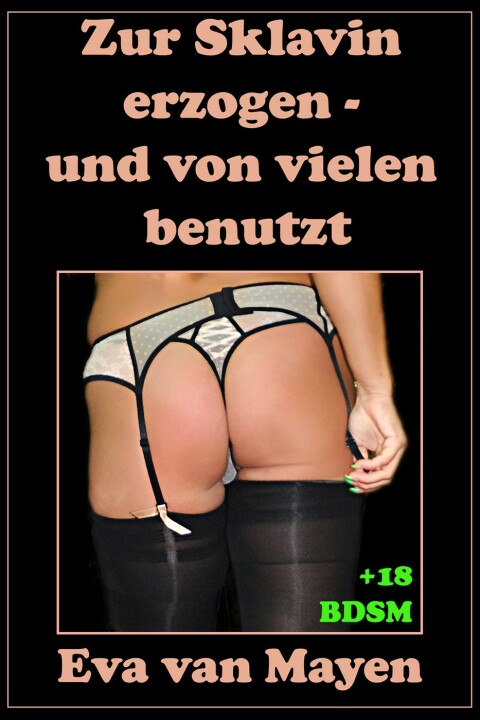 Cover image for book Zur Sklavin erzogen - und von vielen benutzt