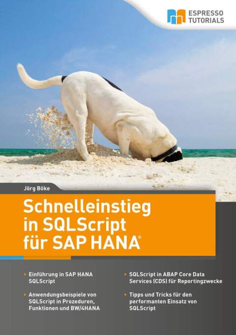 Cover image for book Schnelleinstieg in SQLScript für SAP HANA