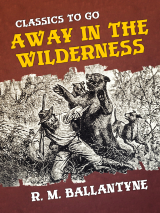 Away in the Wilderness
