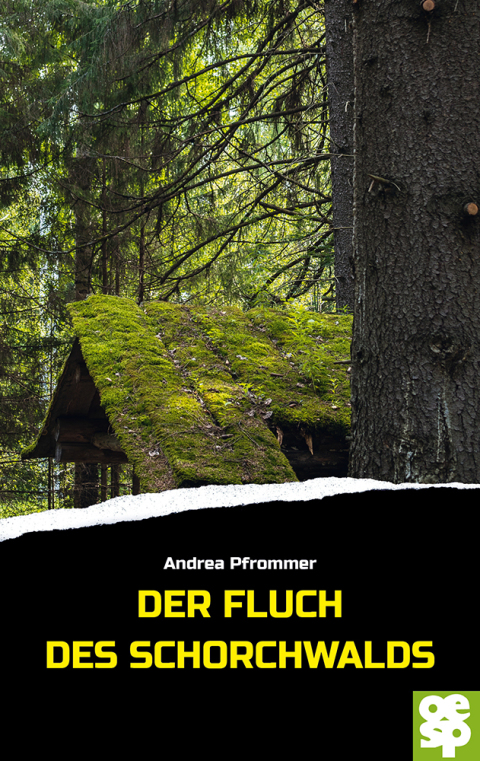 Cover image for book Der Fluch des Schorchwalds