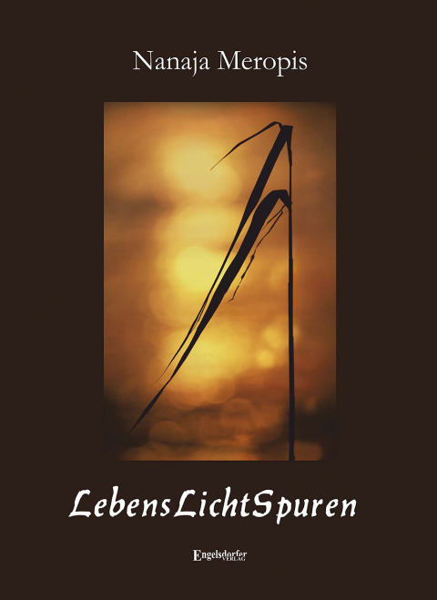 Cover image for book LebensLichtSpuren