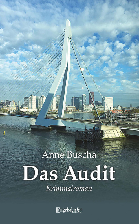 Cover image for book Das Audit
