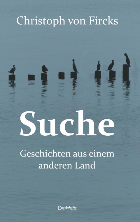 Cover image for book Suche - Geschichten aus einem anderen Land