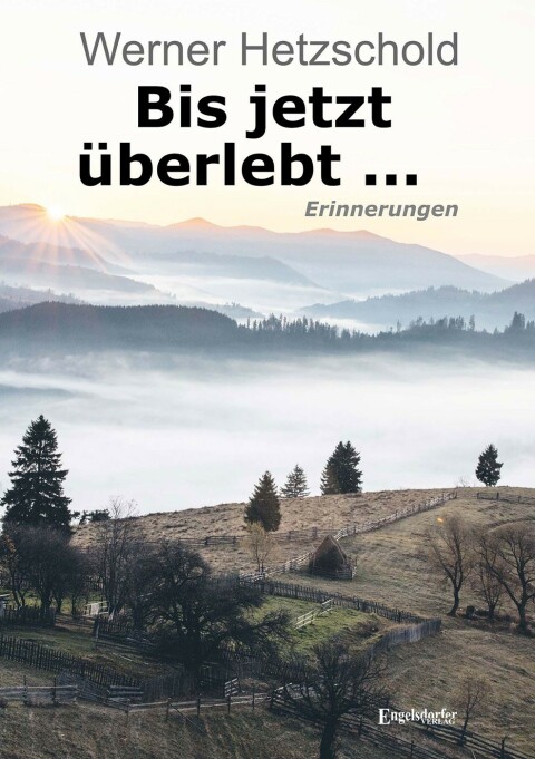 Cover image for book Bis jetzt überlebt ...
