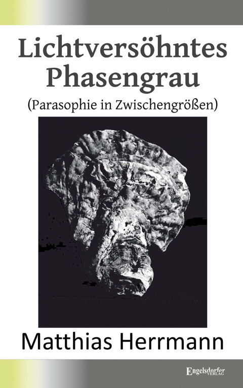 Cover image for book Lichtversöhntes Phasengrau