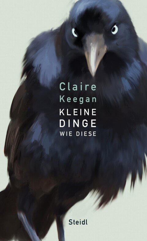Cover image for book Kleine Dinge wie diese