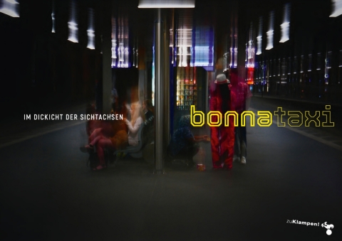 Cover image for book Im Dickicht der Sichtachsen