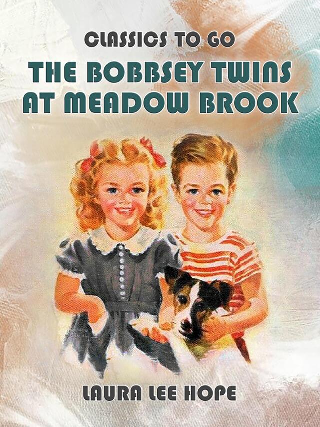 The Bobbsey Twins At Meadow Brook