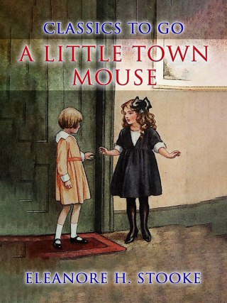 A Little Town Mouse