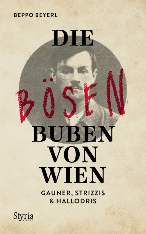 Cover image for book Die bösen Buben von Wien