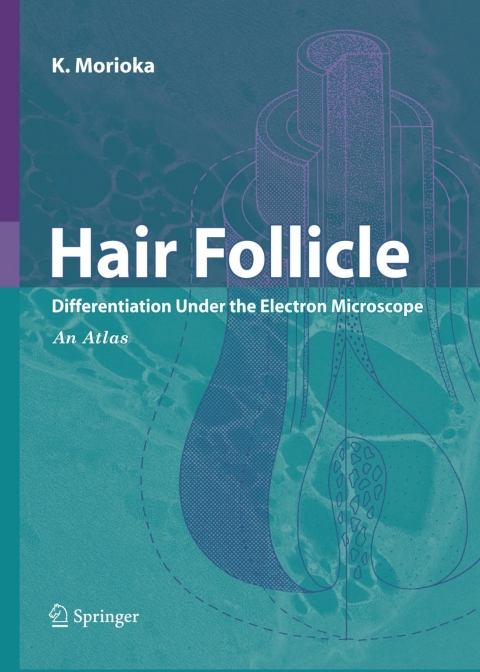 Cover image for book Hair Follicle