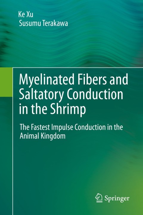 Myelinated Fibers and Saltatory Conduction in the Shrimp 