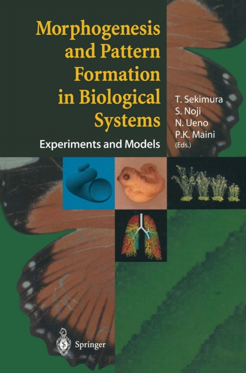 Cover image for book Morphogenesis and Pattern Formation in Biological Systems