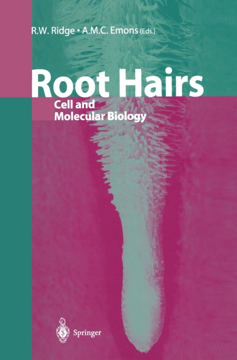 Cover image for book Root Hairs