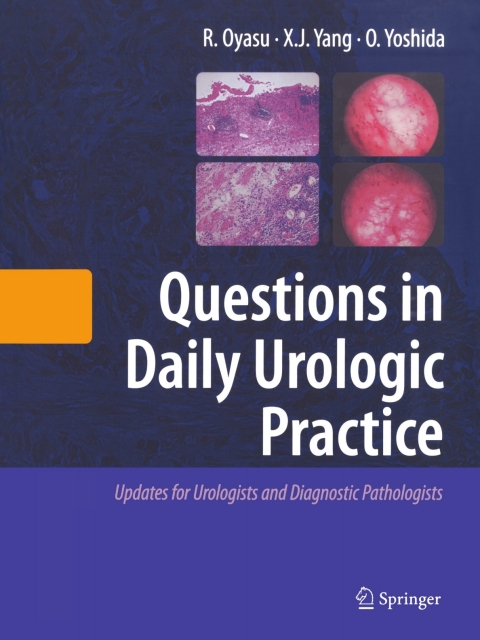 Cover image for book Questions in Daily Urologic Practice