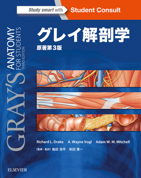 ã°ã¬ã¤è§£åå­¦ãåèç¬¬3ç 