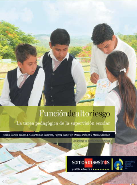 Cover image for book Función de alto riesgo