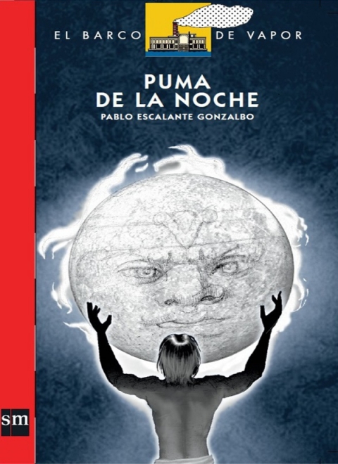 Cover image for book Puma de la noche