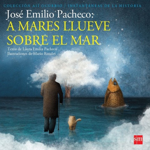 Cover image for book José Emilio Pacheco