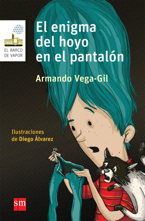 Cover image for book El enigma del hoyo