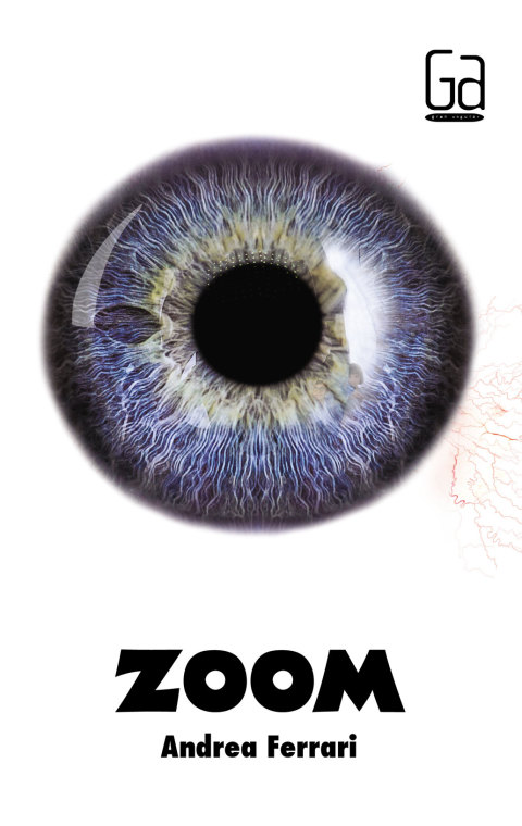 Cover image for book Zoom