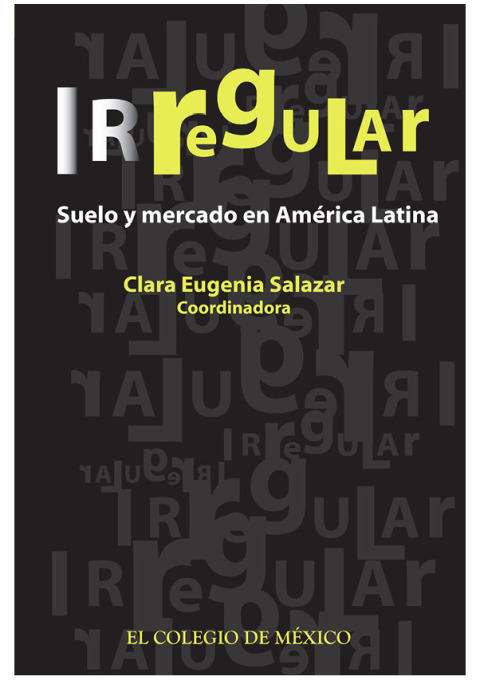 Cover image for book Irregular: suelo y mercado en América Latina